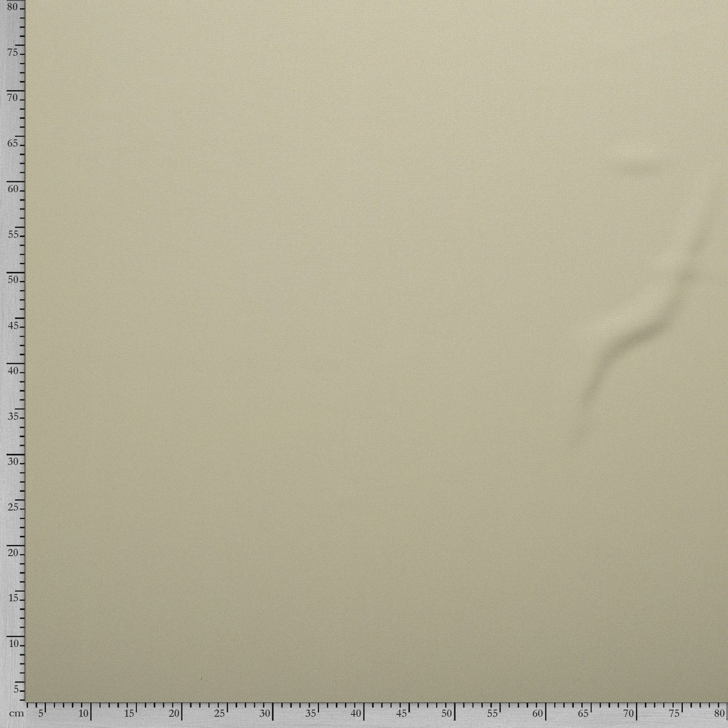 Tissu Burlington Stretch - Pale Golden