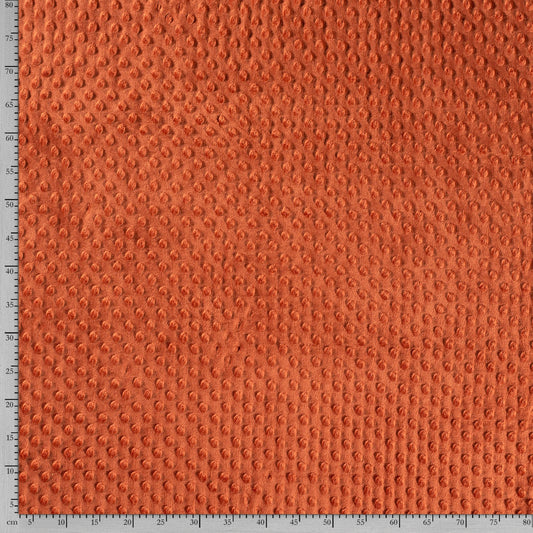 Tissu Velours Minky - 056